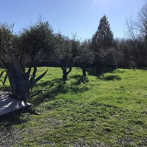 L Olivo Casa vacanze